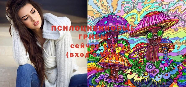 крисы Алексин