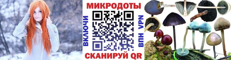 Галлюциногенные грибы Psilocybe хочу Белорецк